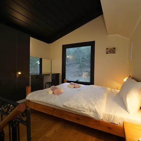 Villa Bungalow
