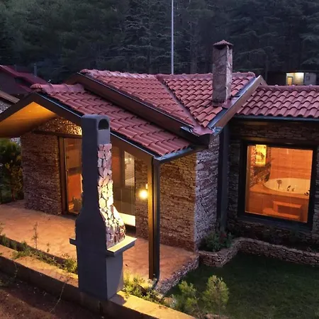 Bungalow Villa